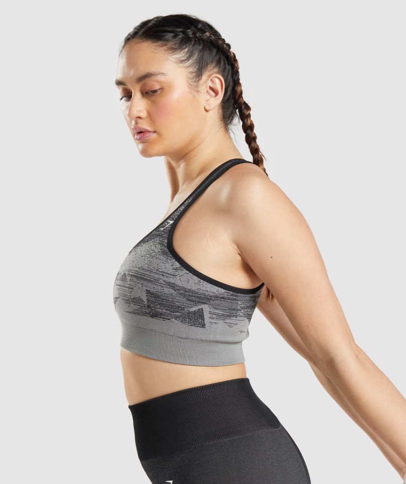 Women's Gymshark Adapt Ombre Seamless Sports Bra Black | NZ 8LICDY